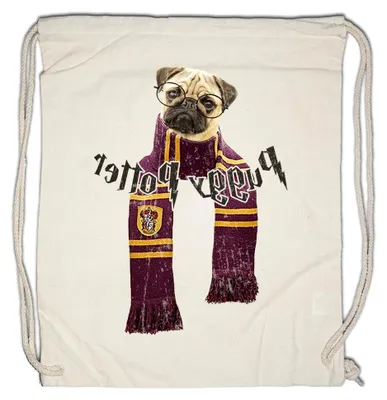 Produktbild von Sporttasche Puggy Potter