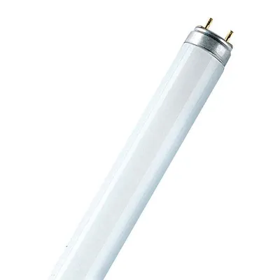 Produktbild von Osram Leuchtstofflampe L 36/76 Natur.d.Luxe
