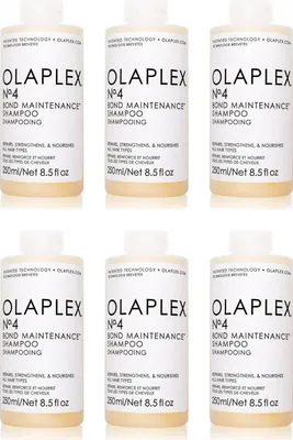 Produktbild von Bond Maintenance Shampoo No. 4 6x250 ml