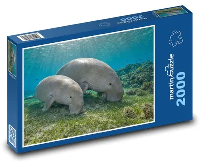 Obrázek produktu pro Puzzle 2000 Dva dugongi v moři - martinpuzzle