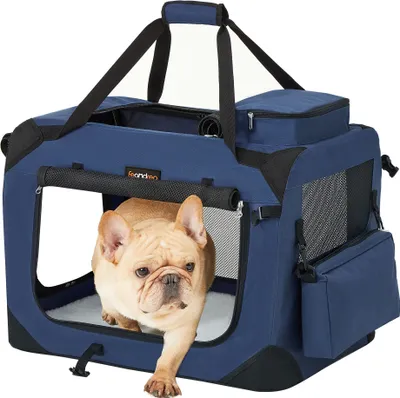 A French Bulldog is exiting a blue pet carrier.