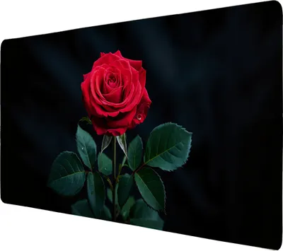 Produktbild von Leuchtend rote Rose Schreibtischunterlage 69x31cm XXL Mauspad für Rosenfans