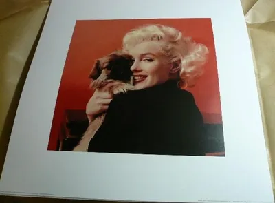 Produktbild von Marilyn MONROE - Kunstdruck - Motiv: Chihuahua - 40x40 cm - Poster/Plakat