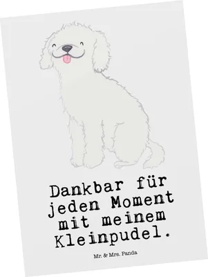 Produktbild von Mr. & Mrs. Panda Postkarte Kleinpudel Moment - Weiß - Geschenk, Grußkarte, bildkarte, Postkarten, Ansichtskarte, Ansichtskarten, Pudel