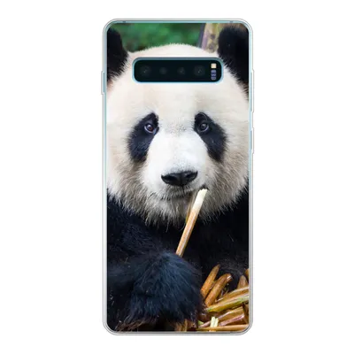 Produktbild von MuchoWow® Handyhülle Schutzhülle Hülle für Samsung Galaxy S10 Plus Panda - Bambus - Natur Silikon Softcase Handy Hülle - Schutzhülle