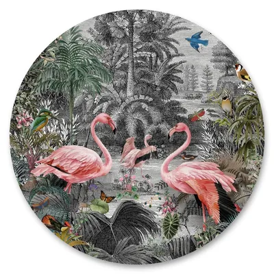 Produktbild von Sticker rund bunte VÖGEL Flamingos tropische Pflanzen Blumen Blätter Dschungel Natur Wanddeko Wandtattoo 100 cm x 100 cm