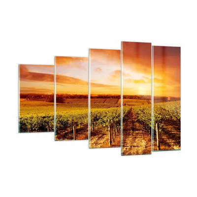 Produktbild von Bilder auf glas - Weinberg Aussicht Landschaft - 150x100cm - Glasbilder - Wandbilder - Kunstdruck - zum Aufhängen bereit - Wanddekoration aus Glas - Glas Bilder - Wandbild auf Glas - GEG150x100-0170