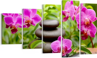 Produktbild von Bild auf Leinwand - Leinwandbild - Blumen Steine Bambus Dekoration - 100x60cm - Wand Bild - Wanddeko - Leinwanddruck - Bilder - Kunstdruck - Leinwand bilder - Wandkunst - EG100x60-2687