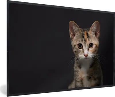 Produktbild von MuchoWow® Gerahmtes Poster Katze - Schwarz - Porträt 90x60 cm - Poster mit Schwarzem Bilderrahmen Wandposter Rahmen Foto Bilder - Fotorahmen - Foto-Plakat