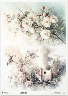 Immagine prodotto di Carta di riso per decoupage carta artigianale per decoupage A3 ITD-1425L Fiori Birdhouse