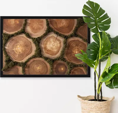 Produktbild von Moosbild mit Echtem Isländisch Moos - 40x60 cm - Schwarzer MDF-Rahmen - Naturbelassene Eichendiele