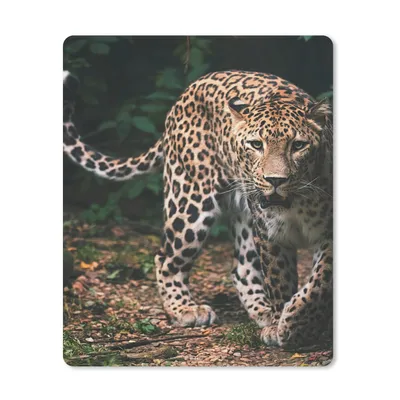Produktbild von MuchoWow® Mauspad Mousepad Wildtiere - Leopard - Dschungel - Natur 19x23 cm - Mousepads - Maus Mat - Pad - Mausunterlage - Mauspads - Spielen