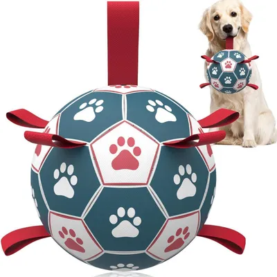 Produktbild von Hundeball mit Seil XL Cyan