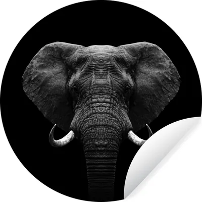 Produktbild von MuchoWow® Runde Wandtattoo - Wandsticker Tapete Aufkleber Tiere - Elefant - Porträt - Schwarz - Weiß Ø 30 cm Selbstklebend und Repositionierbar - Wandaufkleber - Kreis - Wandbild - Fototapete - Selbstklebend - Dekoration - Wandschmuck - Schlafzimmer