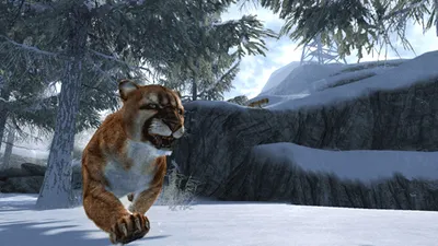 Produktbild von S-Cabelas Dangerous Hunts 2013