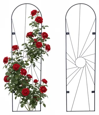 Produktbild von Relaxdays Rankgitter, 2er Set, Sonne, Wandgitter HxB 140 x 38 cm, Kletterpflanzen Rankhilfe, Wandmontage, Stahl, schwarz