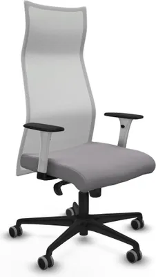 Obrázok produktu pre Kancelárske kreslo Piqueras y Crespo B1B036G Grey