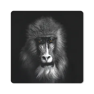Produktbild von MuchoWow® Mauspad Mousepad Affe - Tiere - Augen - Braun - Schwarz und weiß 20x20 cm - Mousepads - Maus Mat - Pad - Mausunterlage - Desk Mat - Bureauartikeln