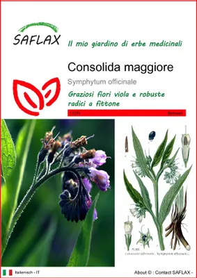 Immagine prodotto di SAFLAX  - Consolida maggiore - 15 semi - Symphytum