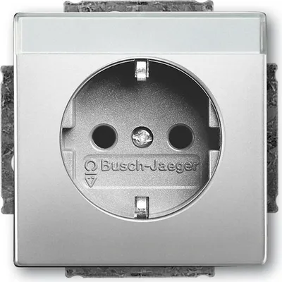Produktbild von Busch-Jaeger 20 EUN-866 SCHUKO® Steckdosen-Einsatz, mit Beschriftungsfeld edelstahl