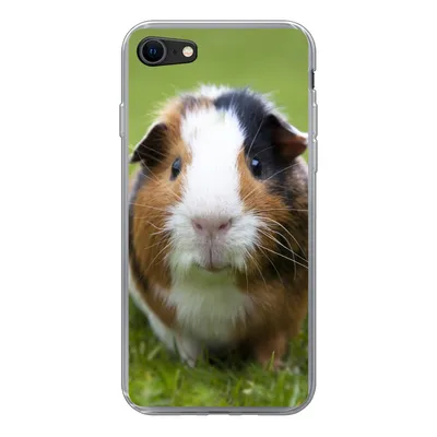 Produktbild von MuchoWow® Handyhülle Schutzhülle Hülle für iPhone 7 Zwei Meerschweinchen Silikon Softcase Handy Hülle - Kartenhalter