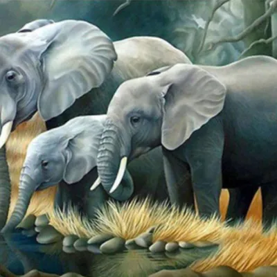 Productafbeelding van Schilderij op nummer: Olifantenfamilie aan de rivier, 50x40 cm