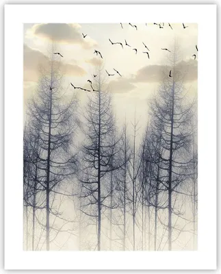 Produktbild von Poster - Poster ohne Rahmen - Bäume Vögel Himmel - 40x50 cm - Wand Bild - Wanddeko - Wandbilder - Kunstposter - Wandposter - Bilder - Kunstdruck - Wanddekoration - Wandbild - P2XPA40x50-4546