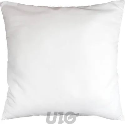 Image de Oreiller - Douceur d'Intérieur - Polyester - 60x60 cm - Blanc