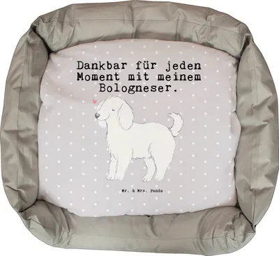 Produktbild von Mr. & Mrs. Panda Hundesofa Bologneser Moment - Grau Pastell - Geschenk, Muttertag, Vatertag, Weihnachten, Nikolaus, Valentinstag, pflegeleicht