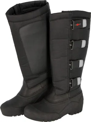 A pair of black winter boots.