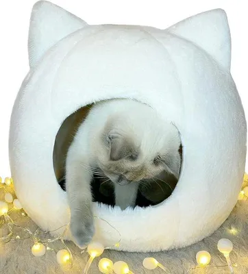 Immagine prodotto di Cuccia pieghevole per gatti, in ecopelliccia, dimensioni 38 x 38 x 35 cm