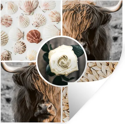 Produktbild von MuchoWow® - Selbstklebend - Fototapeten