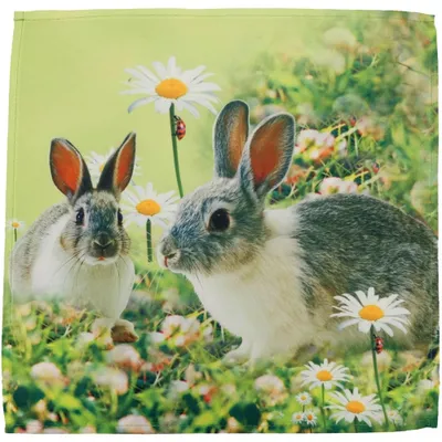 Produktbild von Tischdeckchen PIA Hasen Fotodruck Ostern Polyester 40 x 40 cm