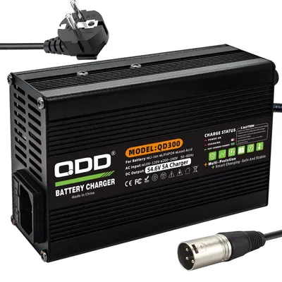 Obrázek produktu pro Nabíječka Acculader, 54,6 V, 5 A, pro lithium-iontové baterie, 13 článků, 48 V
