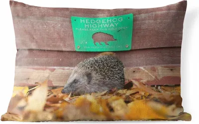 Produktbild von MuchoWow® Outdoor Kissen - Igel läuft durch den Zaun - 60x40 cm - Wetterfest - Lounge Kissen - Zierkissen - Kissen für Innenräume
