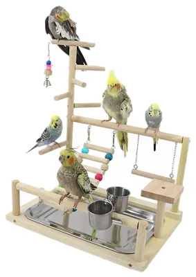Produktbild von Holzspielstand für Papageien mit Futterbehälter und Leiter