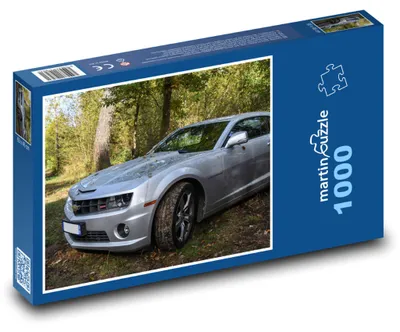 Obrázek produktu pro Puzzle 1000 Sportovní auto v lese - martinpuzzle