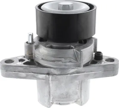 Immagine prodotto di Tendicinghia, cinghie Keilrippen RENAULT Megane I, Laguna Clio II, Thalia