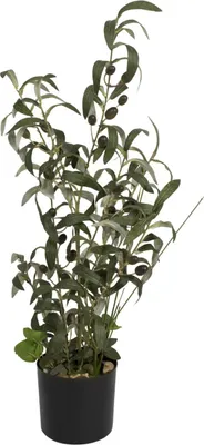 Produktbild von artplants.de Plastik Olivenstrauch LEANDRU mit Früchten, grün, 70cm - Kunstolivenbaum
