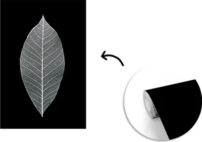 Produktbild von MuchoWow® Fototapete für Wohnzimmer oder Schlafzimmer Wandtapete Vinyl Motivtapete Ein Bild eines Blattskeletts in schwarz-weiß - 175x260 cm - Vinyltapete