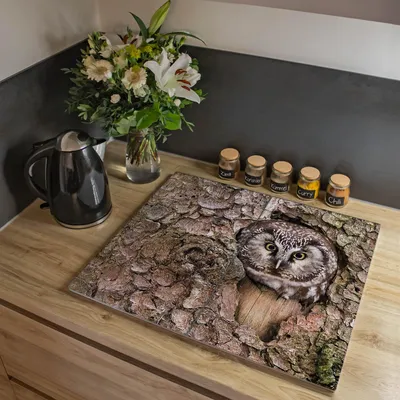 Zdjęcie produktu dla Dwuczęściowa płyta pokrywająca kuchenkę Banjado, każda o wymiarach 30 x 52 cm, z gumowymi podkładkami dystansowymi, szkło bezpieczne ESG z motywem sowy [HAP2 10414]