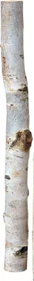 Produktbild von Birkenholzsticks 100% Natur 40 cm