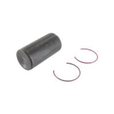 Image de Tige de piston pour moteurs modèles 215702, 215705, 215707, 215802 et 215807 – Origine : 797013.