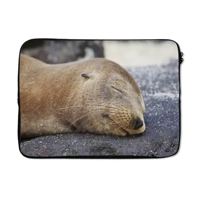 Produktbild von MuchoWow® Laptop Hülle 14 ZollNahaufnahme - Tiere - Steine Laptoptasche - Laptoptasche - Stoßsicher - Schutzhaube