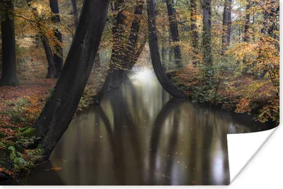 Produktbild von MuchoWow® Poster Herbst - Fluss - Wald 120x80 cm - Bilder