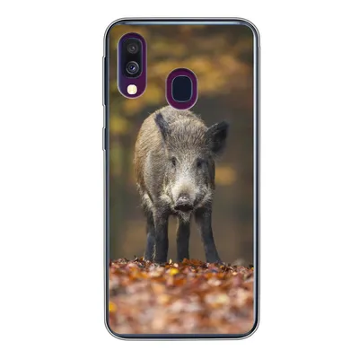Produktbild von MuchoWow® Handyhülle Schutzhülle Hülle für Samsung Galaxy A40 Wildtier - Wald - Herbst Silikon Softcase Handy Hülle - Handy-Tasche