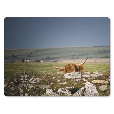 Produktbild von MuchoWow® Mauspad Mousepad Schottischer Hochländer - Steine - Moos 40x30 cm - Mousepads - Maus Mat - Pad - Mausunterlage - Anti Rutsch