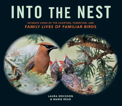 Produktbild von Into the Nest
