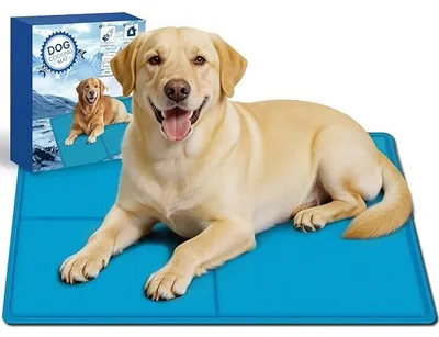 Produktbild von Dog Cooling Mat 120 x 75 cm - Durable Scratch-Resistant Surface, Safe Non-Toxic Gel, Instant Cooling for Dogs for Indoor Outdoor Home Car Suitable for Small Medium Large Dogs