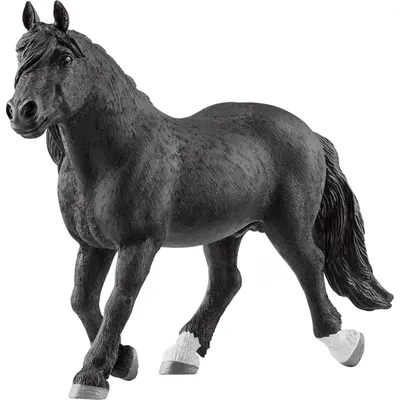 Produktbild von schleich 13958, 3 Jahr(e), Horses, Schwarz, Kunststoff